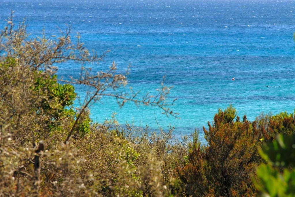 Le Sirene Hotel Portisco Buitenkant foto